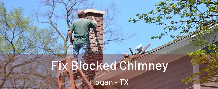 Fix Blocked Chimney Hogan - TX