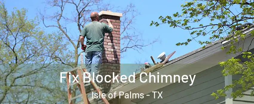 Fix Blocked Chimney Isle of Palms - TX