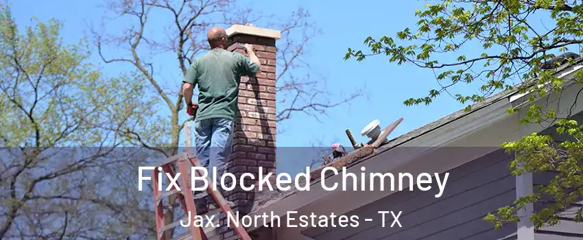 Fix Blocked Chimney Jax. North Estates - TX