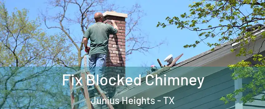 Fix Blocked Chimney Junius Heights - TX
