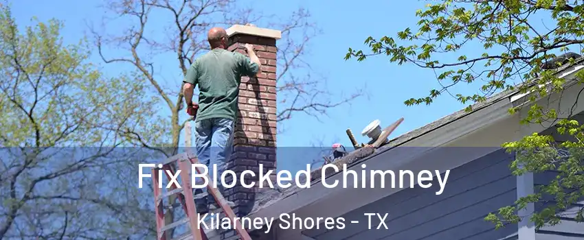 Fix Blocked Chimney Kilarney Shores - TX
