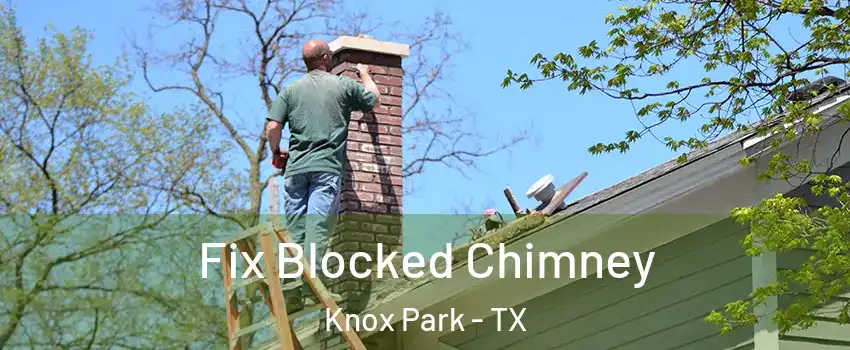 Fix Blocked Chimney Knox Park - TX