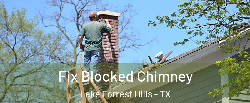 Fix Blocked Chimney Lake Forrest Hills - TX