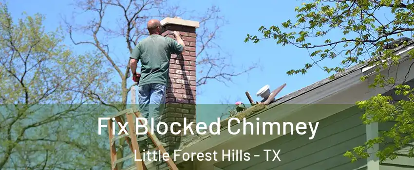 Fix Blocked Chimney Little Forest Hills - TX
