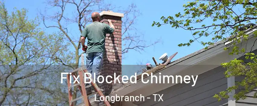 Fix Blocked Chimney Longbranch - TX