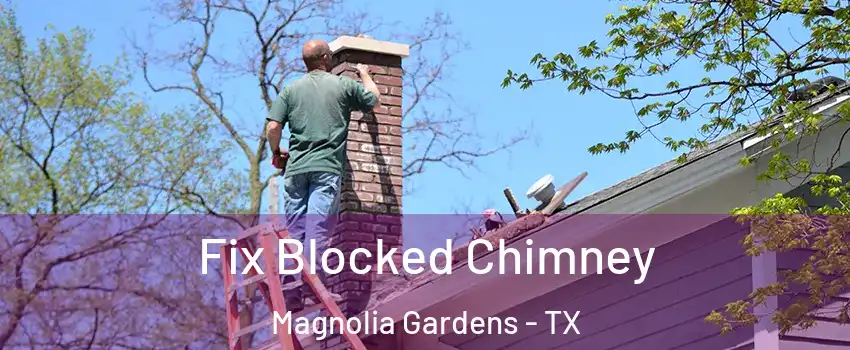 Fix Blocked Chimney Magnolia Gardens - TX