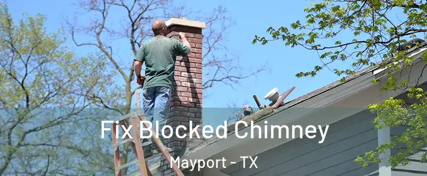 Fix Blocked Chimney Mayport - TX