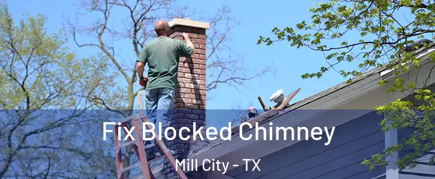 Fix Blocked Chimney Mill City - TX
