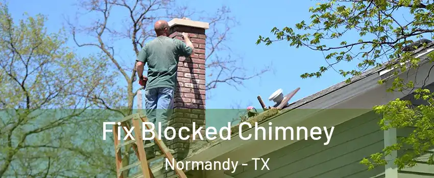 Fix Blocked Chimney Normandy - TX