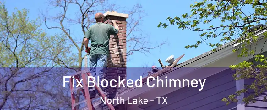Fix Blocked Chimney North Lake - TX