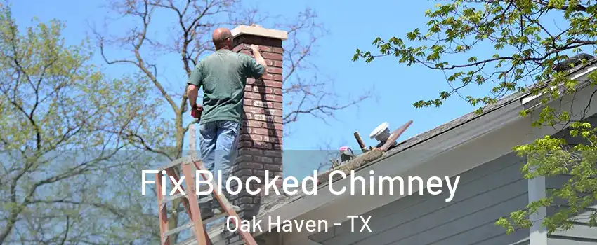 Fix Blocked Chimney Oak Haven - TX