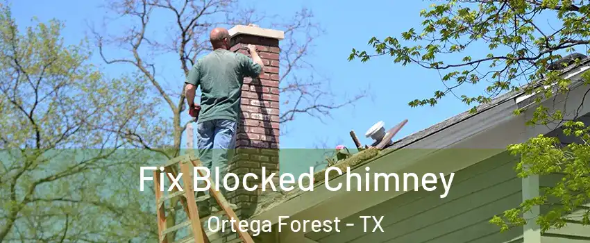 Fix Blocked Chimney Ortega Forest - TX