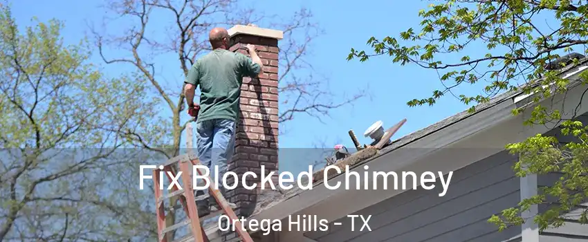 Fix Blocked Chimney Ortega Hills - TX