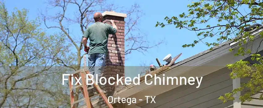 Fix Blocked Chimney Ortega - TX