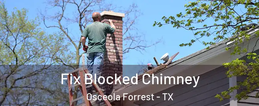 Fix Blocked Chimney Osceola Forrest - TX