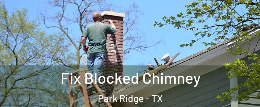 Fix Blocked Chimney Park Ridge - TX