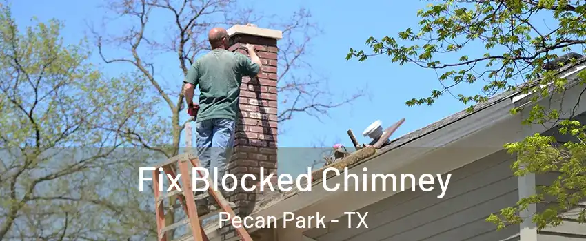 Fix Blocked Chimney Pecan Park - TX
