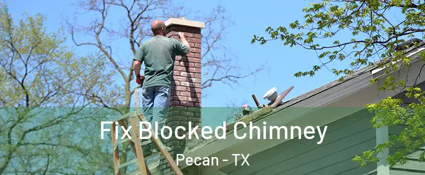 Fix Blocked Chimney Pecan - TX