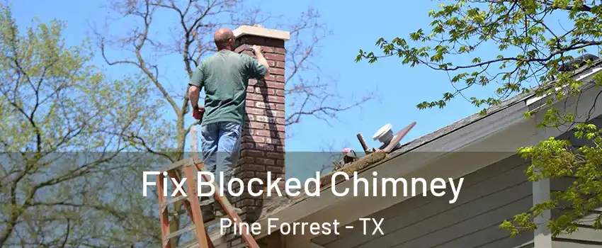 Fix Blocked Chimney Pine Forrest - TX