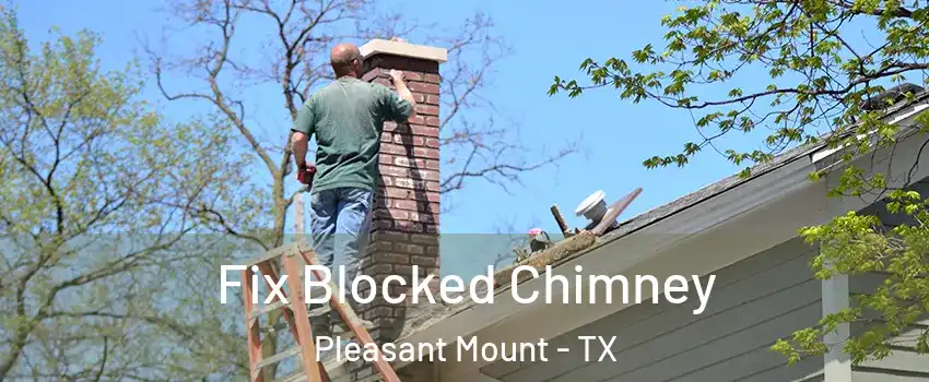 Fix Blocked Chimney Pleasant Mount - TX