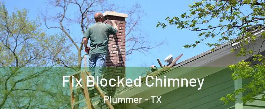 Fix Blocked Chimney Plummer - TX