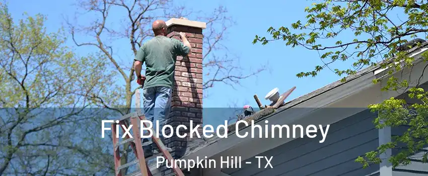 Fix Blocked Chimney Pumpkin Hill - TX