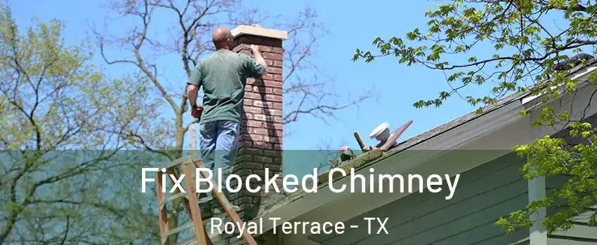 Fix Blocked Chimney Royal Terrace - TX