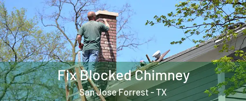 Fix Blocked Chimney San Jose Forrest - TX