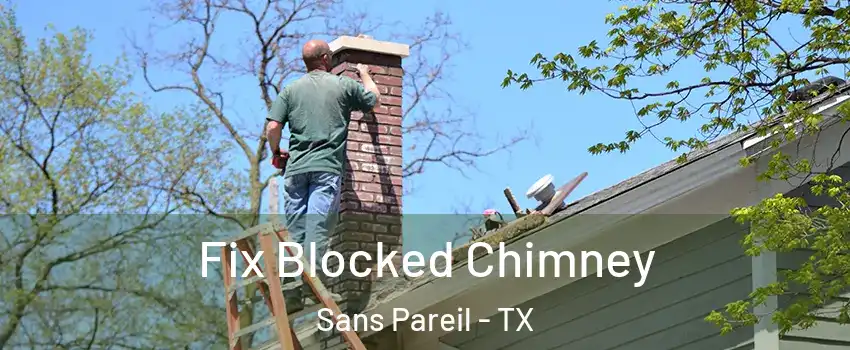 Fix Blocked Chimney Sans Pareil - TX