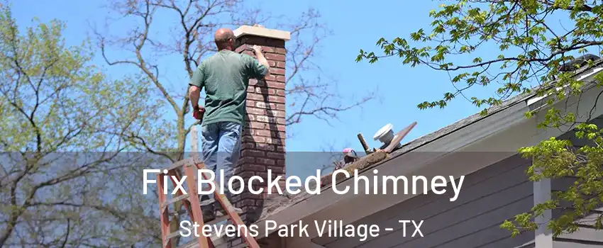 Fix Blocked Chimney Stevens Park Village - TX