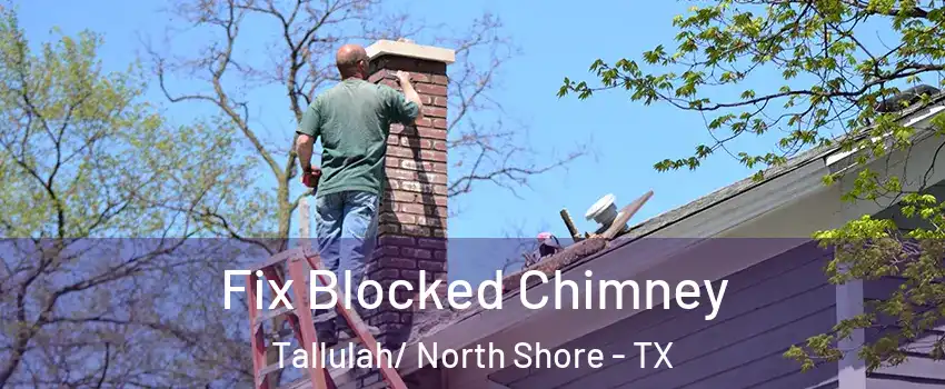 Fix Blocked Chimney Tallulah/ North Shore - TX