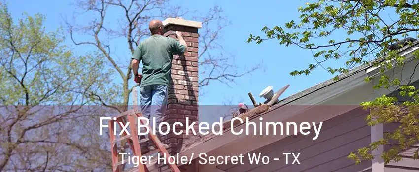 Fix Blocked Chimney Tiger Hole/ Secret Wo - TX