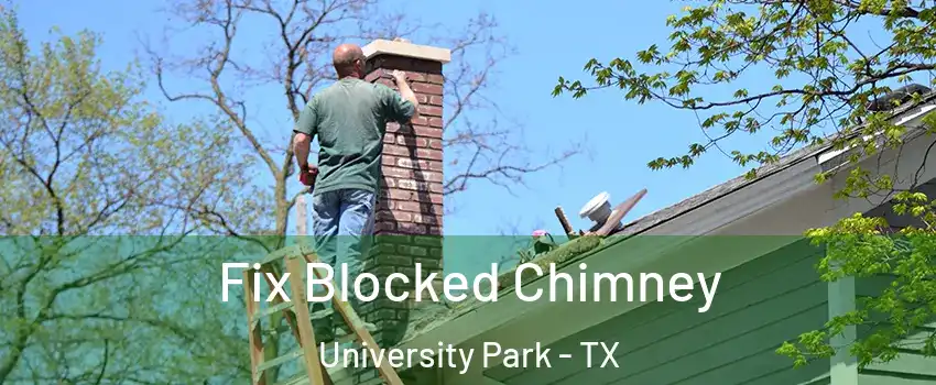 Fix Blocked Chimney University Park - TX