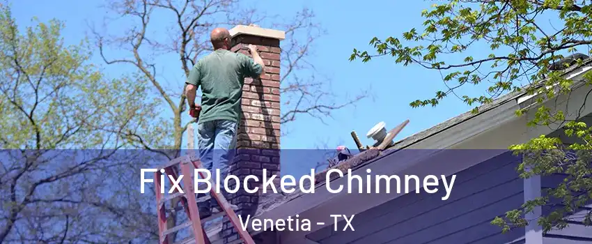 Fix Blocked Chimney Venetia - TX