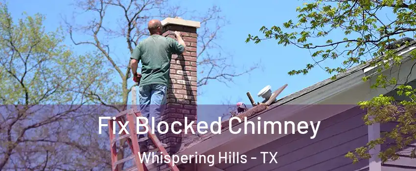 Fix Blocked Chimney Whispering Hills - TX