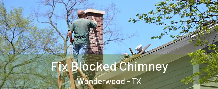Fix Blocked Chimney Wonderwood - TX