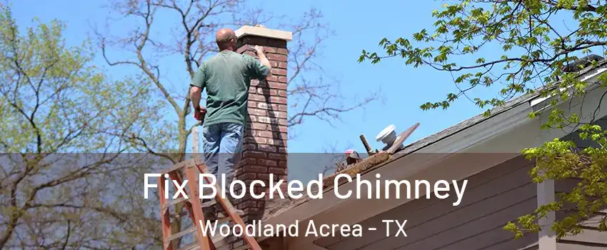 Fix Blocked Chimney Woodland Acrea - TX