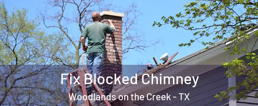 Fix Blocked Chimney Woodlands on the Creek - TX