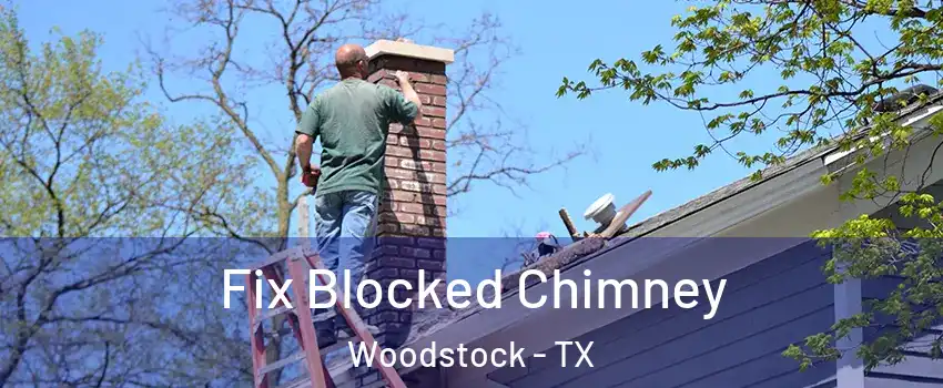 Fix Blocked Chimney Woodstock - TX