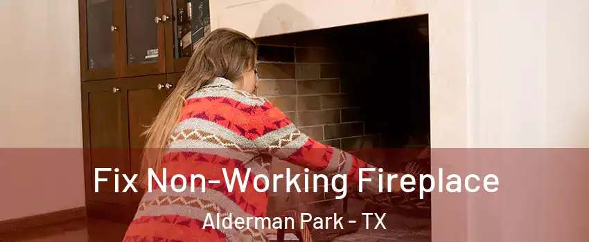 Fix Non-Working Fireplace Alderman Park - TX