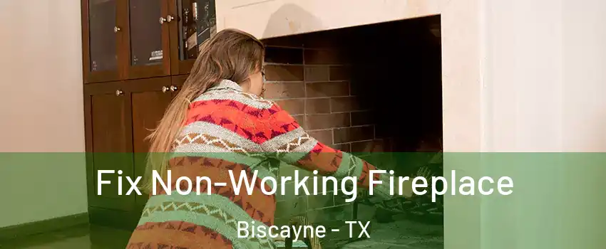 Fix Non-Working Fireplace Biscayne - TX