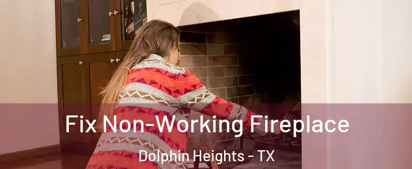 Fix Non-Working Fireplace Dolphin Heights - TX