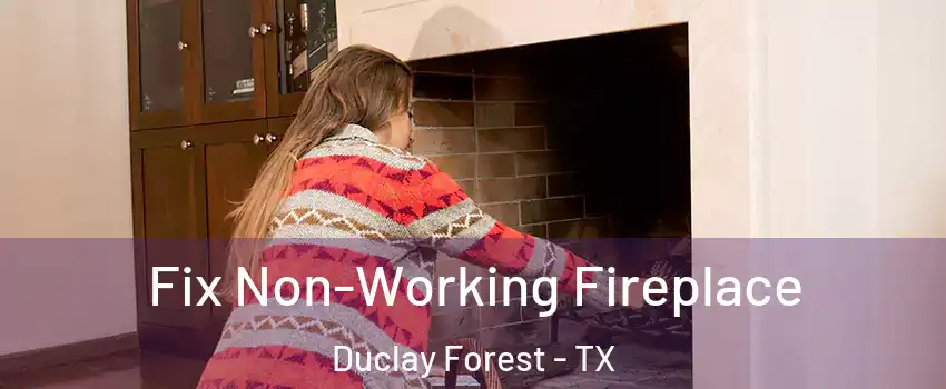 Fix Non-Working Fireplace Duclay Forest - TX