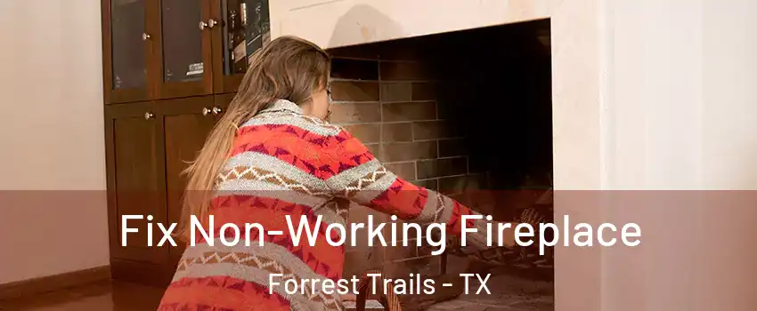 Fix Non-Working Fireplace Forrest Trails - TX
