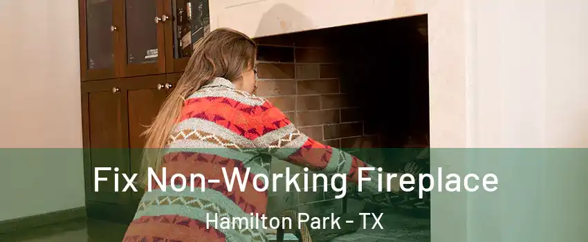 Fix Non-Working Fireplace Hamilton Park - TX