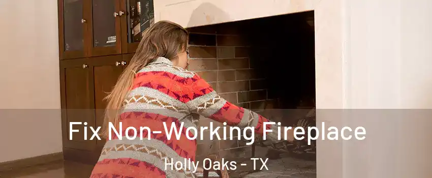 Fix Non-Working Fireplace Holly Oaks - TX