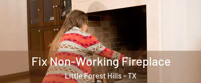 Fix Non-Working Fireplace Little Forest Hills - TX