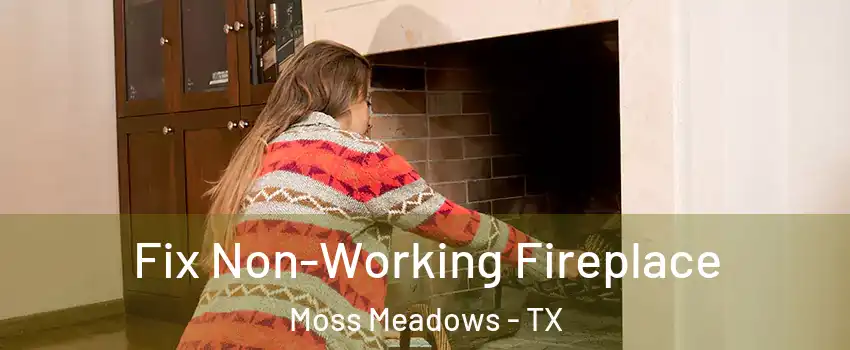 Fix Non-Working Fireplace Moss Meadows - TX