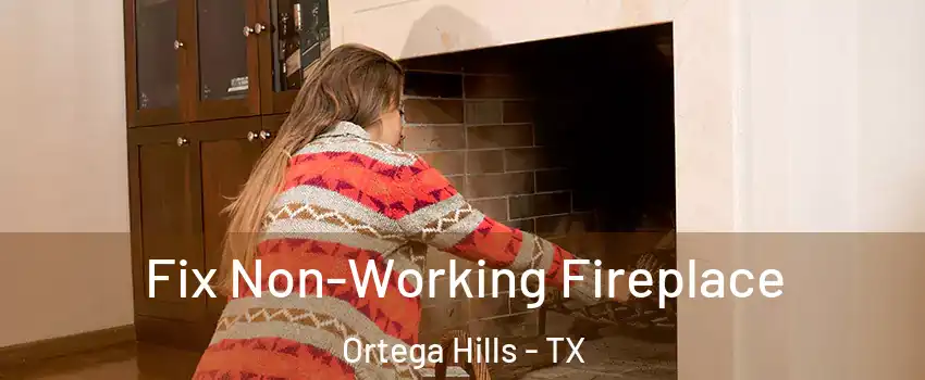 Fix Non-Working Fireplace Ortega Hills - TX