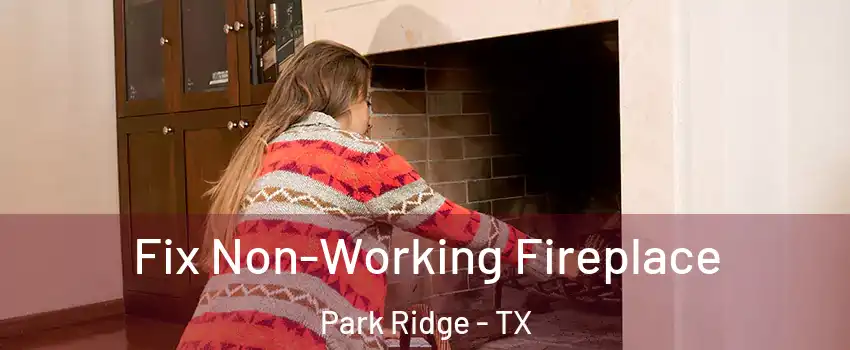 Fix Non-Working Fireplace Park Ridge - TX